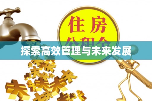 南漳探索高效管理与未来发展