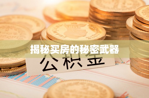 南漳揭秘买房的秘密武器