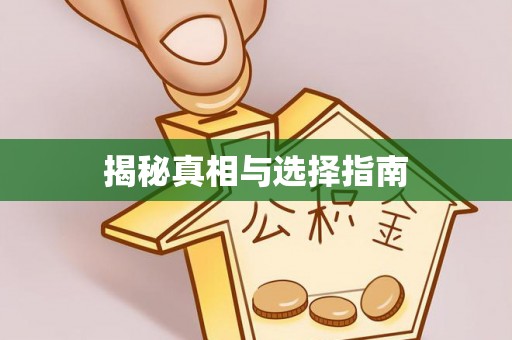 南漳揭秘真相与选择指南