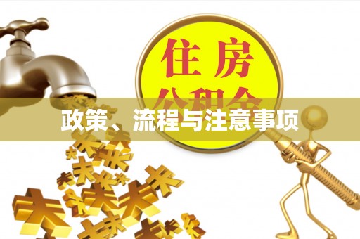 南漳政策、流程与注意事项
