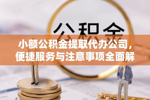 南漳小额公积金提取代办公司，便捷服务与注意事项全面解析