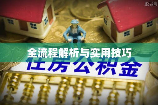南漳全流程解析与实用技巧