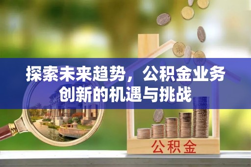 南漳探索未来趋势，公积金业务创新的机遇与挑战