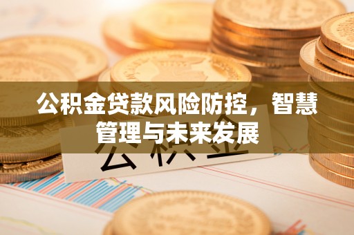 南漳公积金贷款风险防控，智慧管理与未来发展