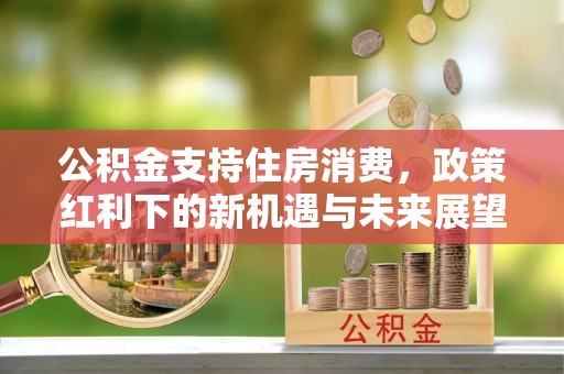 南漳公积金支持住房消费，政策红利下的新机遇与未来展望