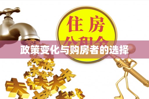 南漳政策变化与购房者的选择