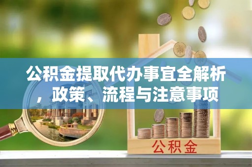 南漳公积金提取代办事宜全解析，政策、流程与注意事项