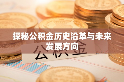 南漳探秘公积金历史沿革与未来发展方向