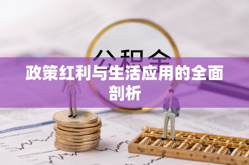 南漳政策红利与生活应用的全面剖析