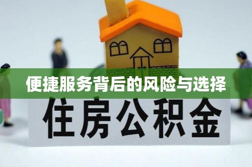 南漳便捷服务背后的风险与选择
